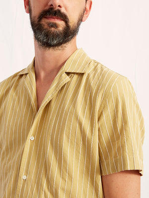 CAMP COLLAR dobby stripe mustard 2119