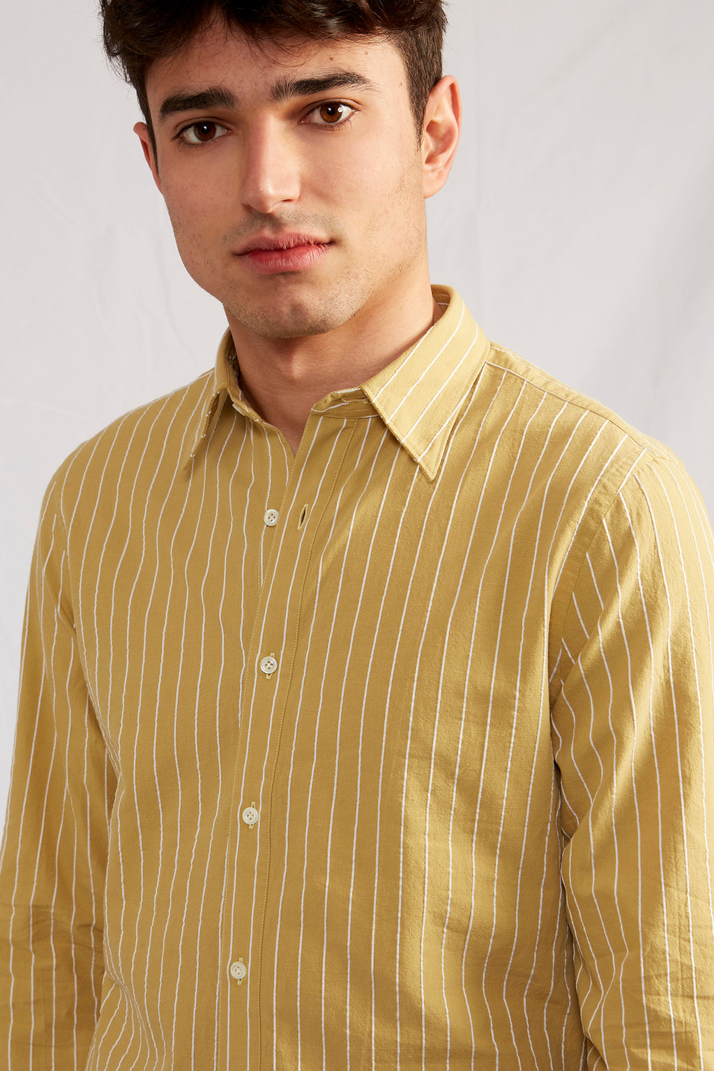 studio mustard dobby stripe 2119
